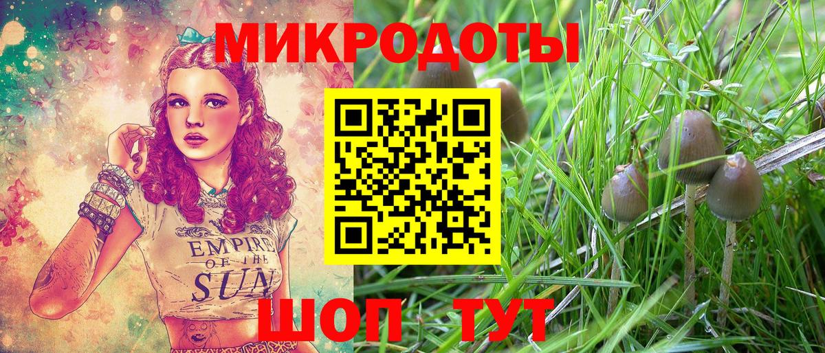 Псилоцибиновые грибы GOLDEN TEACHER Озёрск