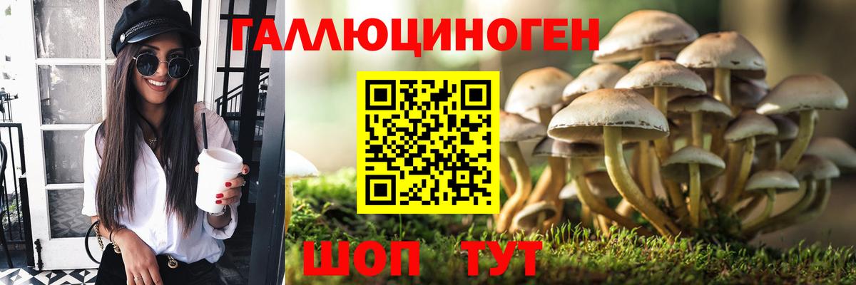Галлюциногенные грибы мицелий  Вход с VPN  Озёрск 